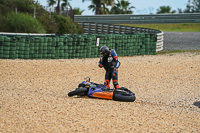 cadwell-no-limits-trackday;cadwell-park;cadwell-park-photographs;cadwell-trackday-photographs;enduro-digital-images;event-digital-images;eventdigitalimages;no-limits-trackdays;peter-wileman-photography;racing-digital-images;trackday-digital-images;trackday-photos